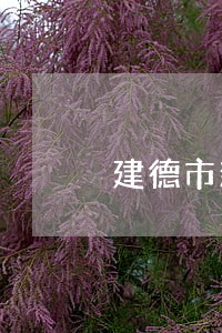 建德市新安江律师事务所怎么样 建德市新安江律师事务所怎么样
