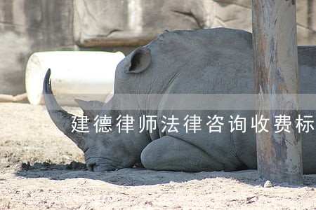 建德律师法律咨询收费标准 建德律师法律咨询收费标准