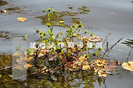 建德法律顾问费用 建德法律顾问费用