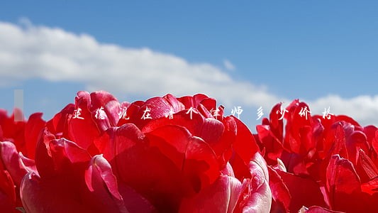 建德现在请个律师多少价格 建德现在请个律师多少价格