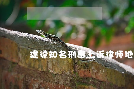 建德知名刑事上诉律师地址 建德知名刑事上诉律师地址
