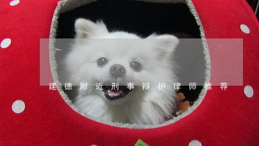 建德附近刑事辩护律师推荐 建德附近刑事辩护律师推荐