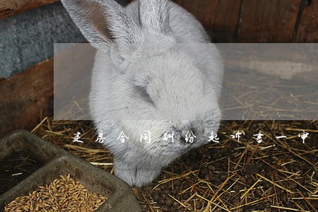 建房合同纠纷起诉书一审 建房合同纠纷起诉书一审