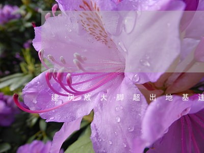 建房放大脚超出地基违法吗