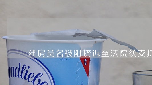 建房莫名被阻挠诉至法院获支持 建房莫名被阻挠诉至法院获支持
