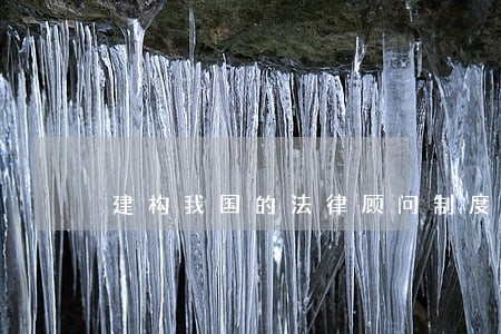 建构我国的法律顾问制度 建构我国的法律顾问制度