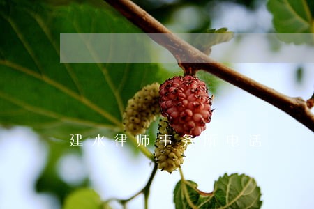 建水律师事务所电话 建水律师事务所电话