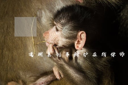 建湖县刑事辩护在线律师 建湖县刑事辩护在线律师