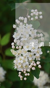 建湖法院被指乌龙判案 建湖法院被指乌龙判案