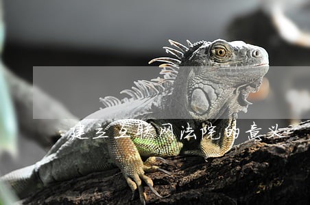 建立互联网法院的意义 建立互联网法院的意义