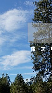 建立债权催收制度对逾期1年 建立债权催收制度对逾期1年