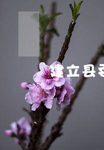 建立县委法律顾问制度 建立县委法律顾问制度