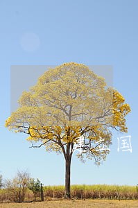 建立国际海事 建立国际海事
