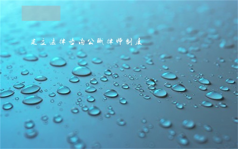 建立法律咨询公职律师制度 建立法律咨询公职律师制度