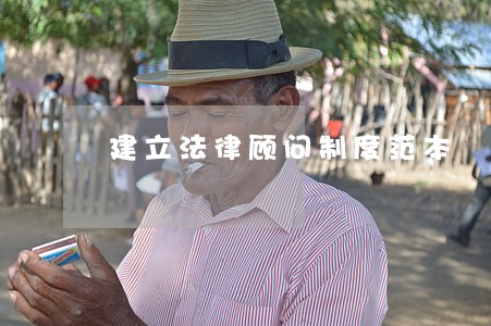 建立法律顾问制度范本 建立法律顾问制度范本