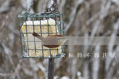 建筑企业卖标算不算违法 建筑企业卖标算不算违法