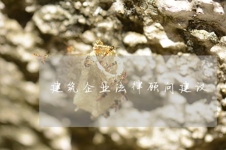 建筑企业法律顾问建议 建筑企业法律顾问建议