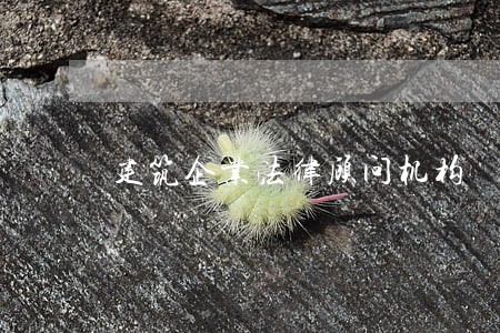 建筑企业法律顾问机构 建筑企业法律顾问机构