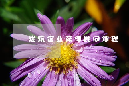 建筑企业法律顾问课程 建筑企业法律顾问课程