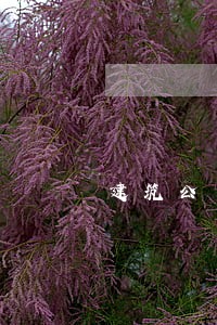 建筑公司法务面试 建筑公司法务面试