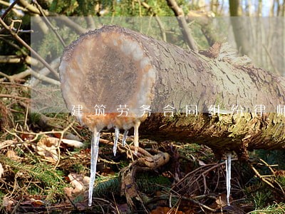 建筑劳务合同纠纷律师 建筑劳务合同纠纷律师