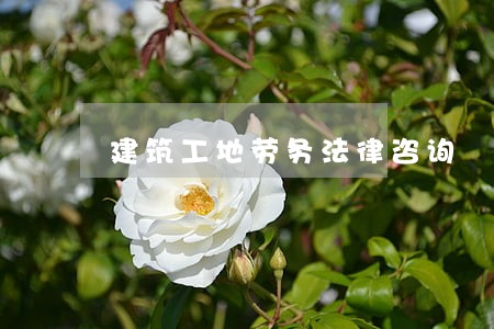 建筑工地劳务法律咨询 建筑工地劳务法律咨询