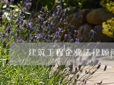 建筑工程企业法律顾问 建筑工程企业法律顾问