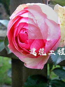 建筑工程房地产律师网 建筑工程房地产律师网