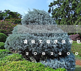 建筑工程违法分包有追诉期吗/2023020824001 建筑工程违法分包有追诉期吗/2023020824001