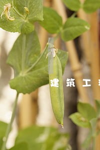 建筑工程造价相关法规 建筑工程造价相关法规