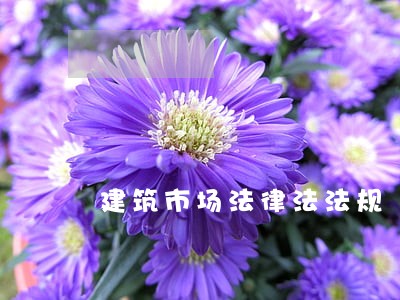 建筑市场法律法法规