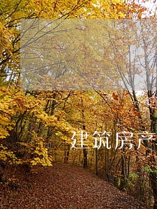 建筑房产律师一般多少钱
