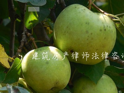 建筑房产律师法律咨询 建筑房产律师法律咨询