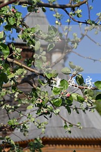 建筑房产知名律师电话 建筑房产知名律师电话