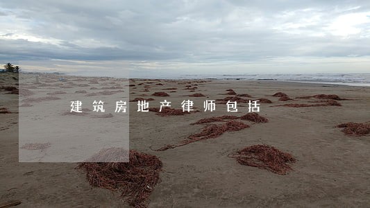 建筑房地产律师包括 建筑房地产律师包括