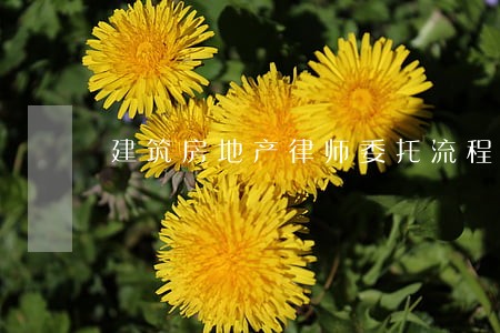 建筑房地产律师委托流程