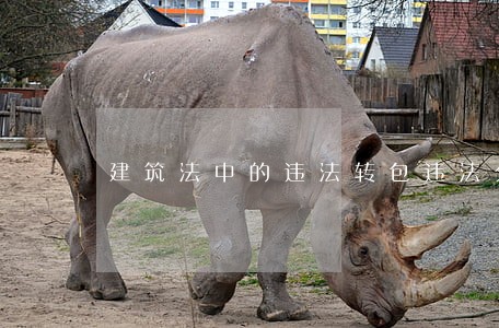建筑法中的违法转包违法分包 建筑法中的违法转包违法分包