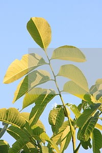 建筑法是最高法律规范 建筑法是最高法律规范