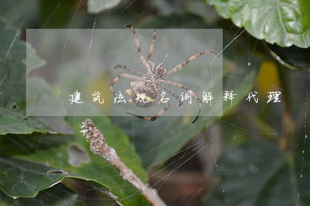 建筑法规名词解释代理