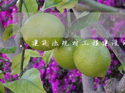 建筑法规对工程建设的重要性 建筑法规对工程建设的重要性