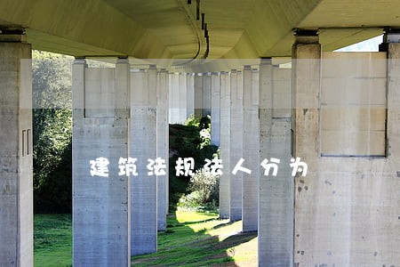 建筑法规法人分为 建筑法规法人分为