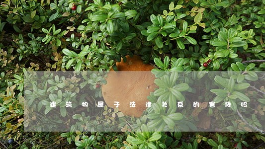 建筑物属于法律关系的客体吗