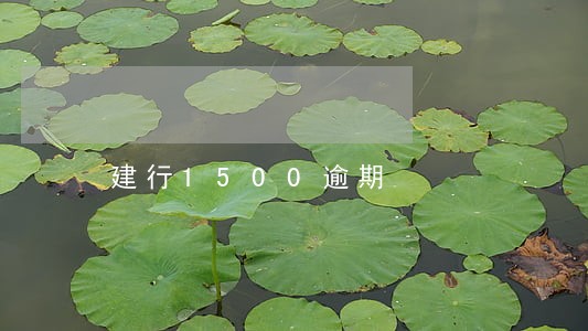 建行1500逾期