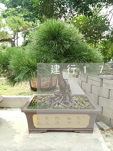 建行1700逾期1年 建行1700逾期1年