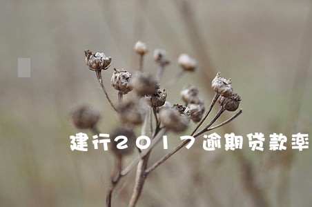 建行2017逾期贷款率 建行2017逾期贷款率