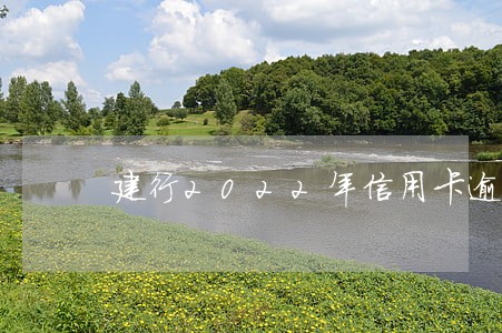 建行2022年信用卡逾期容时