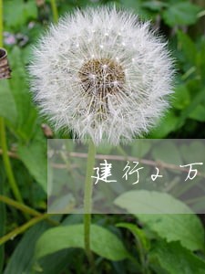 建行2万逾期多久会上征信 建行2万逾期多久会上征信