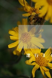 建行30号还款日3号还款算逾期 建行30号还款日3号还款算逾期