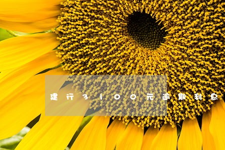 建行3100元逾期利息怎么算 建行3100元逾期利息怎么算