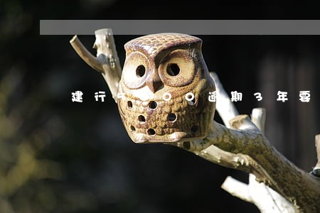 建行5000逾期3年要多少 建行5000逾期3年要多少